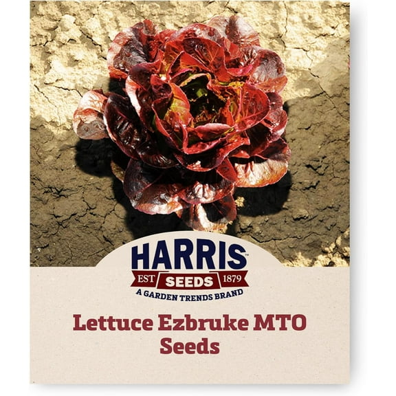 Harris Seeds - Lettuce Seeds Ezbruke MTO Organic Deep Red Romaine - 50 Seeds
