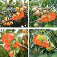 thumbnail image 3 of Cesta de recolección de frutas Recolector de frutas Recolector de manzanas Cesta de recolección práctica sin poste Fácil de ensamblar para huerto, granja, jardín, laúd, cereza, etc. (amarillo y naran TUNC Sencillez, 3 of 5