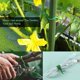 thumbnail image 5 of Paquete de 2 ataduras flexibles para plantas de jardín, ideales para el hogar, la oficina y la jardinería, 20 metros, color verde, 5 of 5