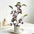 thumbnail image 4 of Artificial Fruit Bonsai Tree Fake Plants Decor | Plastic Faux Potted Greenery Arrangement | Mini Tabletop Decoration for Home Office Desk Windowsill Indoor, 4 of 6