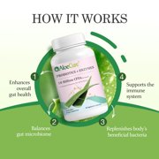 AloeCure Probiotics + Enzyme Capsules for Womens Digestive Health with 10 Billion CFU - Daily Aloe Supplement, Full Spectrum Probiotic + Prebiotic Supplement, Gut Support, Super Enzymes, 30 Caps