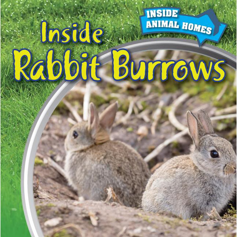 Inside Rabbit Burrows