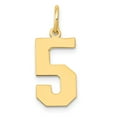 thumbnail image 1 of FB Jewels 14K Yellow Gold Medium Polished Number 5 Charm, 1 of 4