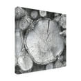 thumbnail image 2 of Trademark Fine Art 'Logging Light VI' Canvas Art by John Butler, 2 of 3