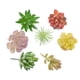 thumbnail image 5 of Simulación de traje carnoso, simulación de cabeza de flor, simulación de ramo, simulación de planta, decoraciones para el hogar, 5 of 6