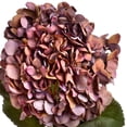 thumbnail image 2 of Hill Interiors Artificial Autumn Hydrangea, 2 of 4