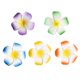 thumbnail image 5 of unbranded 20Ud Pinzas Para Decorativas Hawaii Para Fiesta Y Uso Diario, 5 of 8