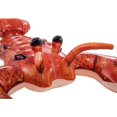 thumbnail image 4 of nipocaio realistic ride-on lobster buoy, 4 of 5