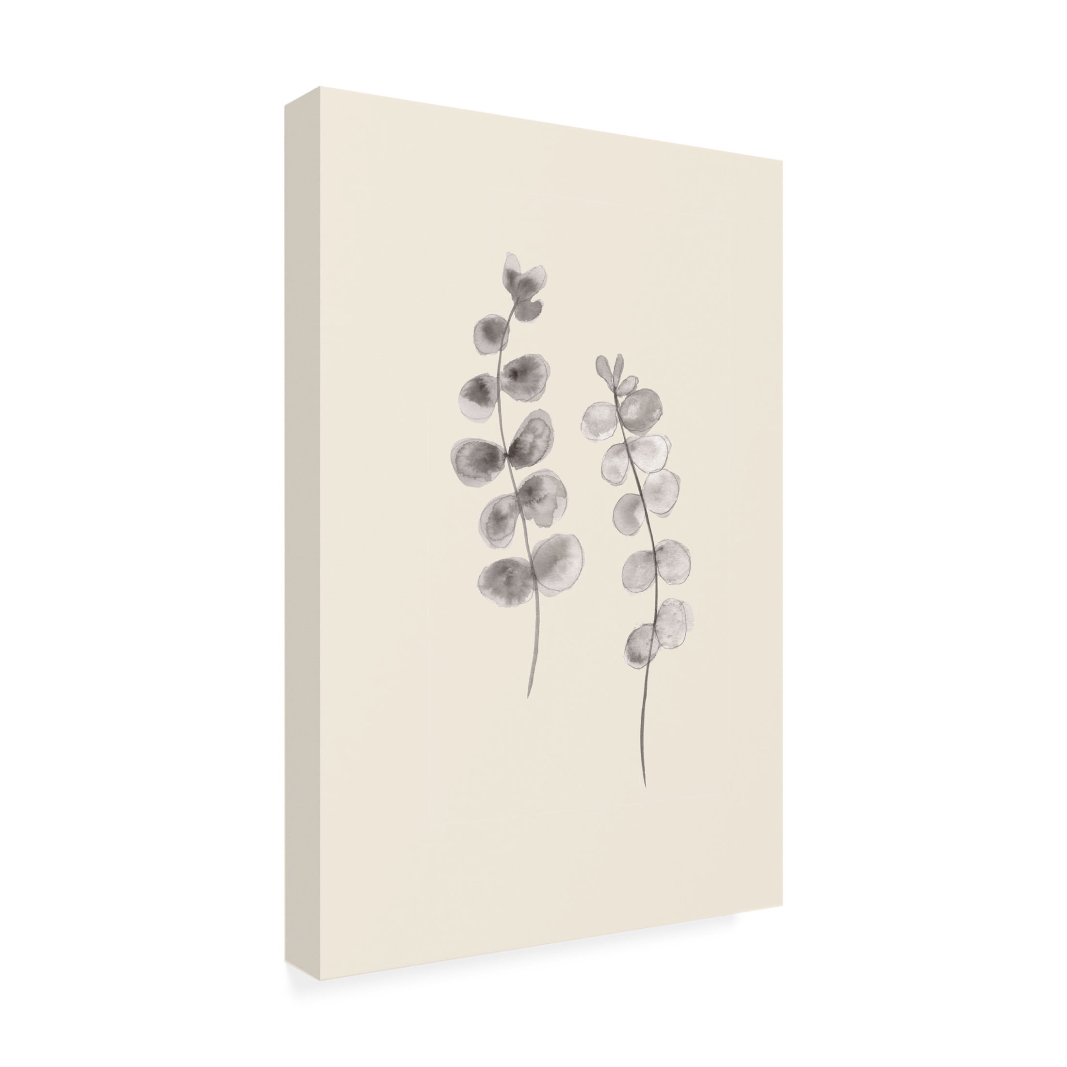Canvas Wall Art - Pictufy Studio 'Eucalyptus Twigs' Wall Art for Living Room, Bedroom, or Office Décor by Trademark Fine Art - 16 x 24 Inches
