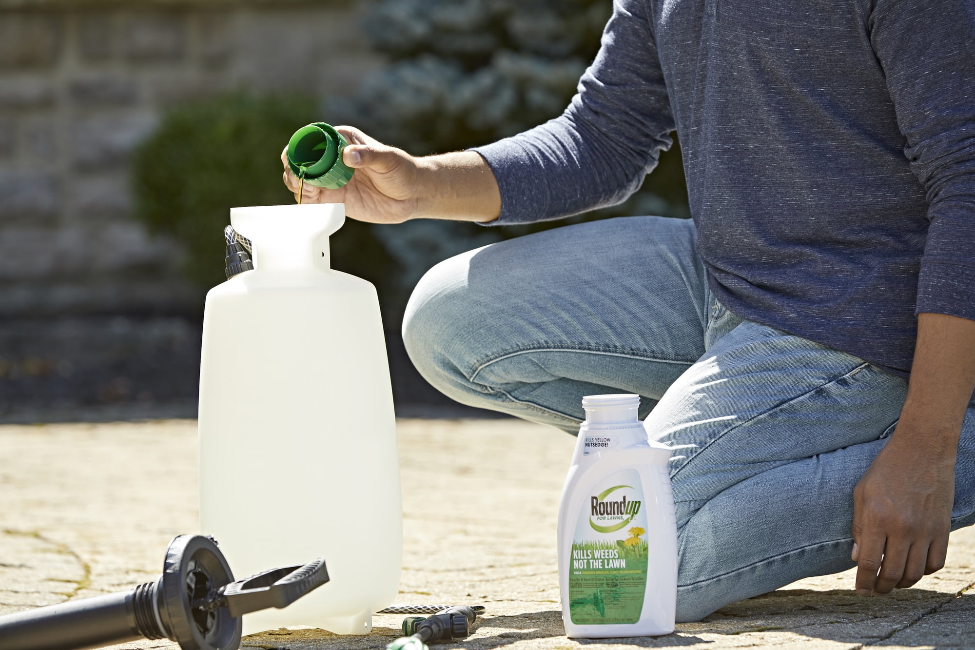 Roundup For Lawns 2 Concentrate Weed Killer for Northern Grass, 32 oz., Kills 250+ Weeds