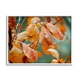 thumbnail image 4 of Stupell Industries Autumn Tree Leaves Water Droplets Fall Foliage Photograph White Framed Art Print Wall Art, Design by Gail Peck, 4 of 5