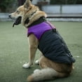 thumbnail image 2 of Chaqueta de Plumón ANGGREK para Mascotas Gato Cachorro Grueso Color Púrpura Talla 2XL 3XL 4XL 5XL, 2 of 5