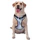 thumbnail image 1 of Balery Bird Butterfly Stripe Arnés para Perros Grandes Antitirones, Arnés con Correa para Gato, Arnés Tipo Chaleco para Perros Pequeños-X-Large, 1 of 6