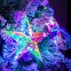 thumbnail image 5 of Pentagrama Luminoso para Navidad, Boda, Hotel, Centro Comercial, Fiesta de Cumpleaños, Decoración, Luces Tridimensionales, 5 of 6