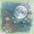 thumbnail image 1 of Scenescapes The Awakening, 1 of 1