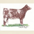 thumbnail image 3 of CafePress - Shorthorn Heifer Light T Shirt - Men's Classic Graphic T-Shirt, 3 of 4