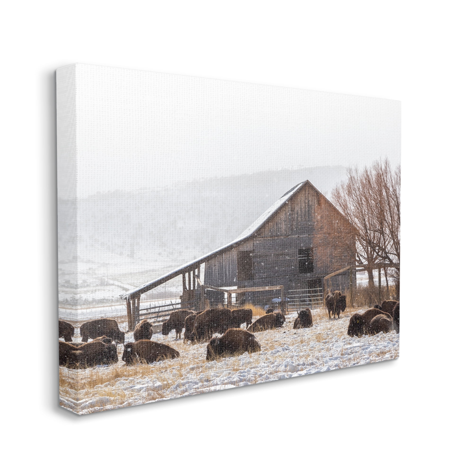 Stupell Industries Snow Dusted Barn Buffalo Bison Rural Farm Photograph Gallery Wrapped Canvas Print Wall Art, Design by Jeff Poe Photography