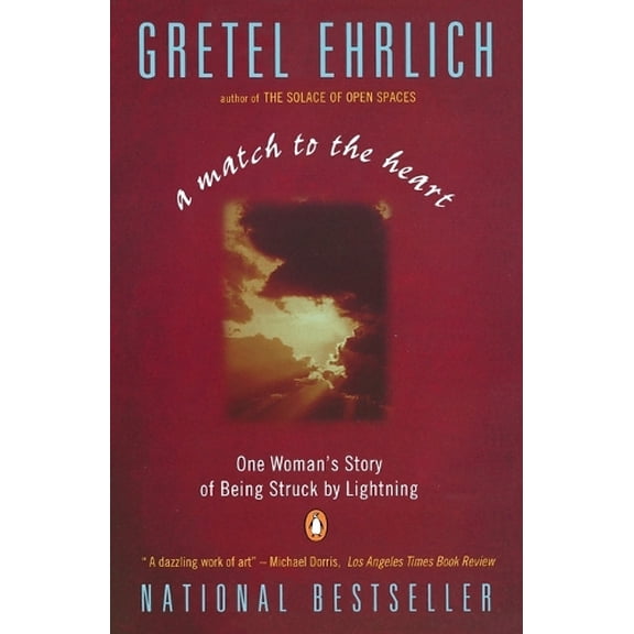 Pre-Owned A Match to the Heart: One Woman's Story of Being Struck by Lightning (Paperback) 0140179372 9780140179378