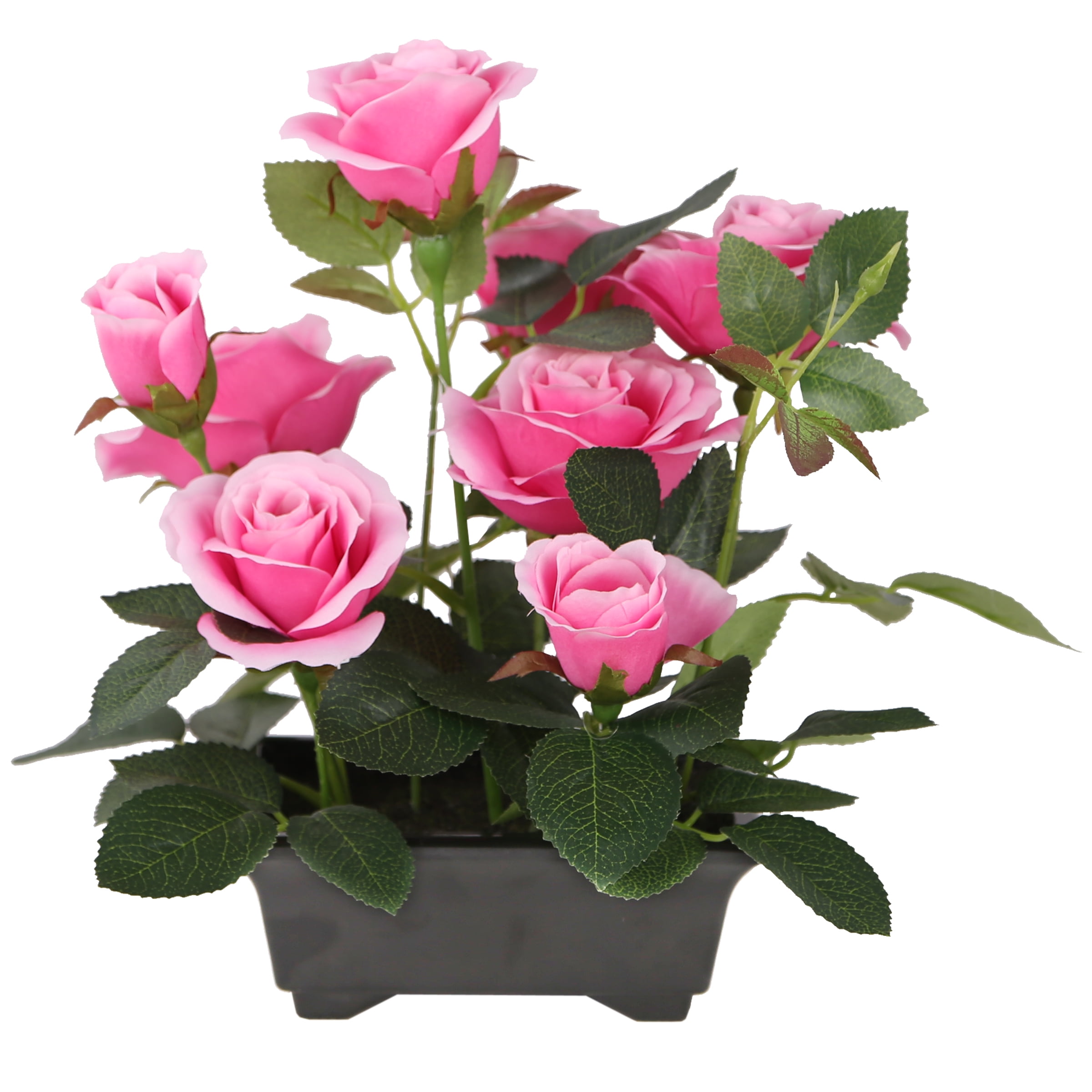 10" Potted Pink Rose Flowers