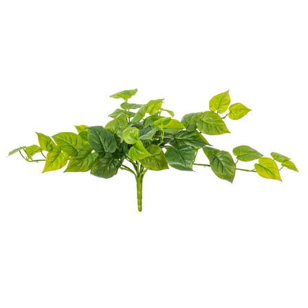 23" Green Pothos Bush UV