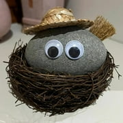 Christmas Gift Pebble Pet Rock Nest with Decorative Grass, Novelty Gift for Yourself, Kids, Friends and Family