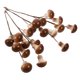 thumbnail image 5 of unbranded 4Ud Plantas Artificiales En Forma De Hongos Para De Hogar Y Eventos, 5 of 8