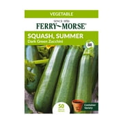 Ferry-Morse 3G Squash, Summer Early Prolific Straightneck Heirloom Vegetable Plant Seeds Packet