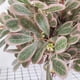 thumbnail image 4 of Planta artificial hoja de mesa centro de mesa decoración de plantas banquete de boda tela de seda hojas falsas, verde rosa 9 Ramo Methold  HA6948-03B, 4 of 5