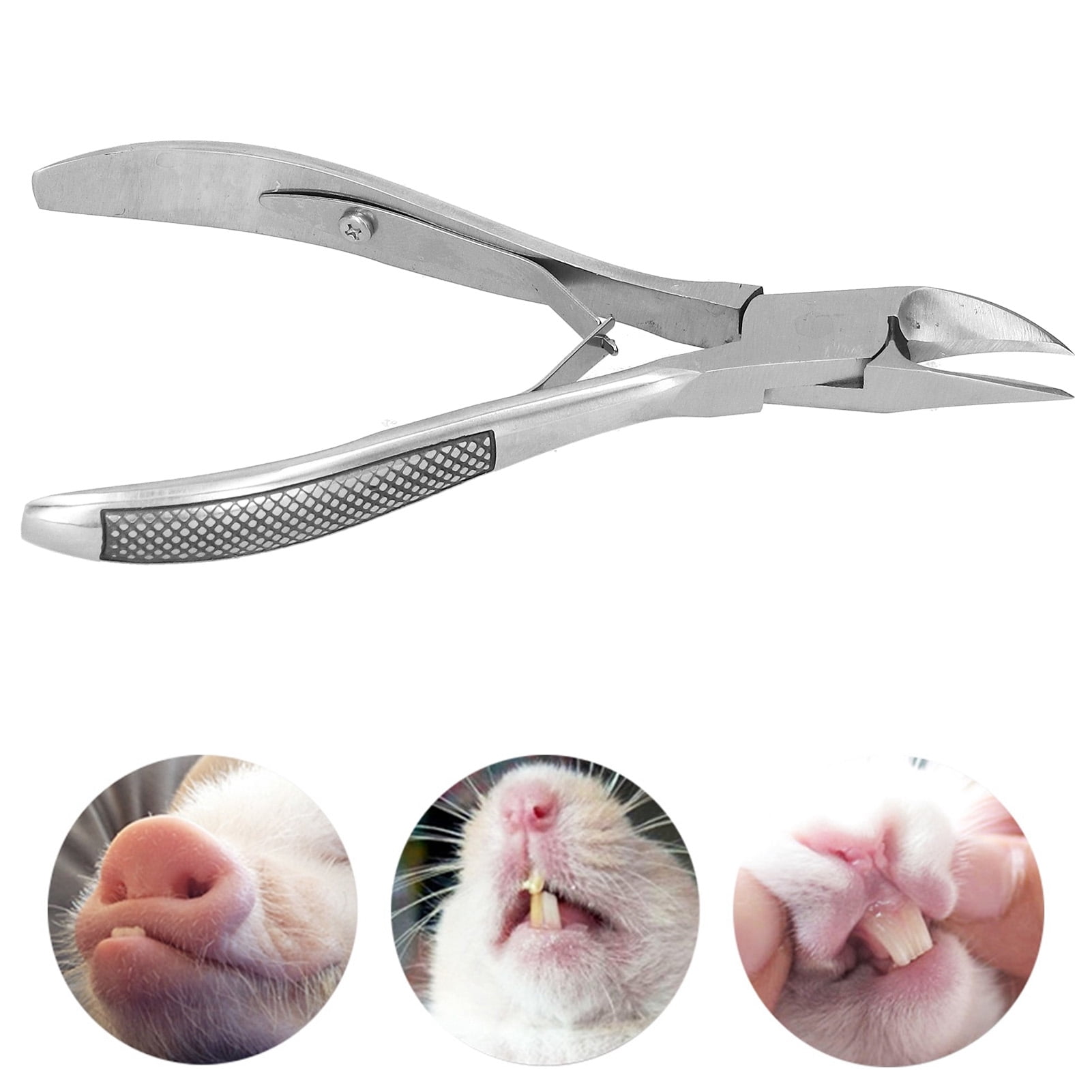 Garosa Stainless Steel Pig Tooth Nipper Piglets Teeth Clipper Teeth Cutter