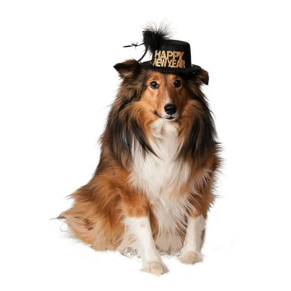 Happy New Year Hat for Pets