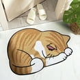 thumbnail image 6 of WMGHA Cat Rug - Decorative Cat Door Mat with Sleeping Tabby Cat Design - Floor Carpet for Front Door,Bathroom Entry,Living Room,Hand-Hooked Polyester Material,Non-Slip Bottom - 24x15.75 inches, 6 of 7