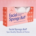 thumbnail image 4 of [Esponja facial] Exfoliante Berkland Regular, paquete de 12 unidades para rostro, 4 of 8