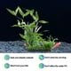 thumbnail image 3 of Acuario, decoración de pecera, conjunto de árbol de plantas de acuario, decoración de pecera, 3 of 5