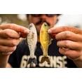 thumbnail image 6 of 6th Sense - Plump Panorama – Bass Fishing Lure – Extra Thick Body, Realistic Baitfish Profile, Multi-Purpose Soft Plastic (3/pk), 6 of 6