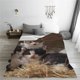 thumbnail image 5 of Balery Cat Family Manta de Felpa Suave y Acogedora – Cobija de Franela Aterciopelada para Cama, Lavable y Cálida para Sofá, Mascotas, Transpirable-40"x30", 5 of 7