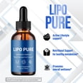thumbnail image 5 of Lipo Pure Advanced Formula Drops Supporting Your Active Lifesyle Naturally LipoPure 30 Servings, 5 of 8