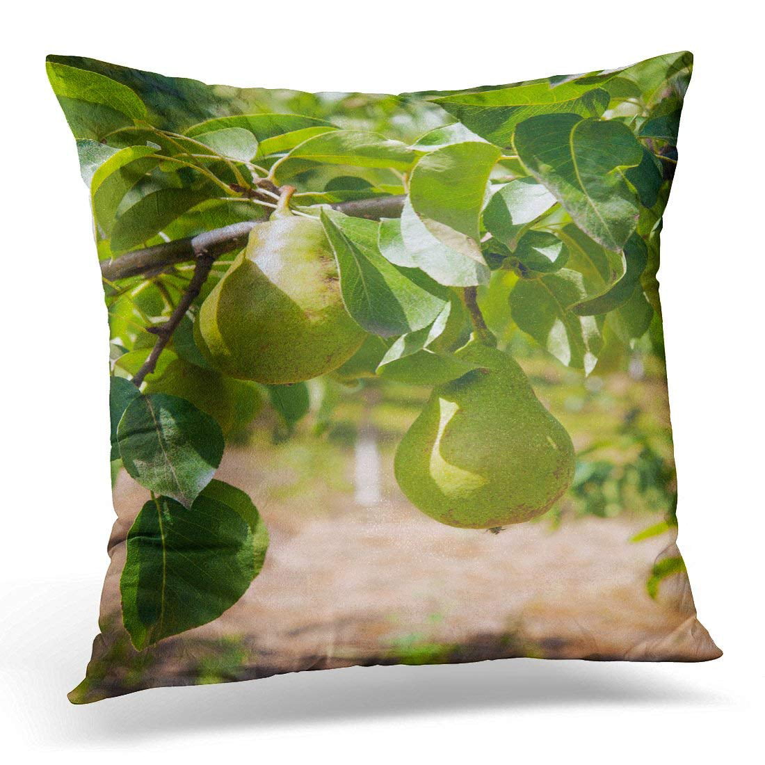 18x18 Pillow south pear