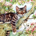 thumbnail image 2 of SUNSOUT INC - Sleepy Cat - 500 pc Jigsaw Puzzle by Artist: Debbie Cook - Finished Size 19" x 19" - MPN# 50423, 2 of 5
