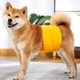 thumbnail image 4 of Pantalones fisiológicos impermeables para perros, pañales reutilizables para cachorros, bragas lavables para perros, ropa interior para perros machos, 4 of 5