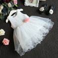 thumbnail image 5 of Robe Princesse pour Filles Enfants en Dentelle à Fleurs, Robe de Fête Formelle, Robe Tutu en Tulle 2-7 Ans, 5 of 5