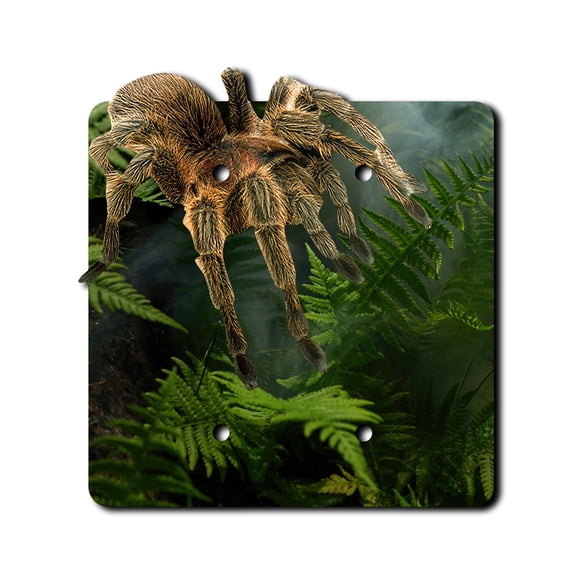 Off The Wall Plates - Tarantula Spider - Double Gang Blank Cover