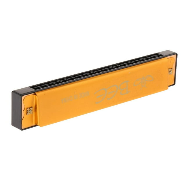 Tachiuwa Harmonica 20 Touches Orgue à Bouche Instrument de Musique Cadeau Jaune