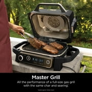 Ninja Woodfire 141 sq in 1760 Watts Electric Outdoor Grill & Smoker with Air Fry, BBQ Smoke, and Real Wood Pellet Flavor