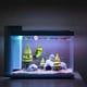 thumbnail image 4 of Acuario Diver Fish Tank Adorno submarino Decoración de paisaje flotante acuático Hugtrwg Para estrenar, 4 of 7
