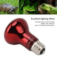 thumbnail image 3 of Bombilla de Calor para Reptiles E27 Roja Noche y Día Accesorio de Lámpara de Calor para Reptiles de Luz Suave Cálida Lámpara de Calor para Anfibios Animales ANGGREK Otros, 3 of 8