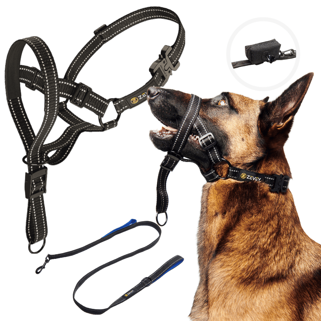 Zevey Dog Headcollar With Leash And Safety Strap Stops Heavy Pulling On The Leash Padded Reflective Head Halter For Small Medium Large Dogs Adjustable Head Harness For Training And Walking (M, Black)