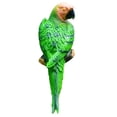 thumbnail image 1 of Matsuzay Árbol colgante decoración artesanía arte estatuilla paisaje ornamento estatua decorativa hogar interior exterior jardín patio trasero Decoración Verde Bien Matsuzay HA076836-05, 1 of 6