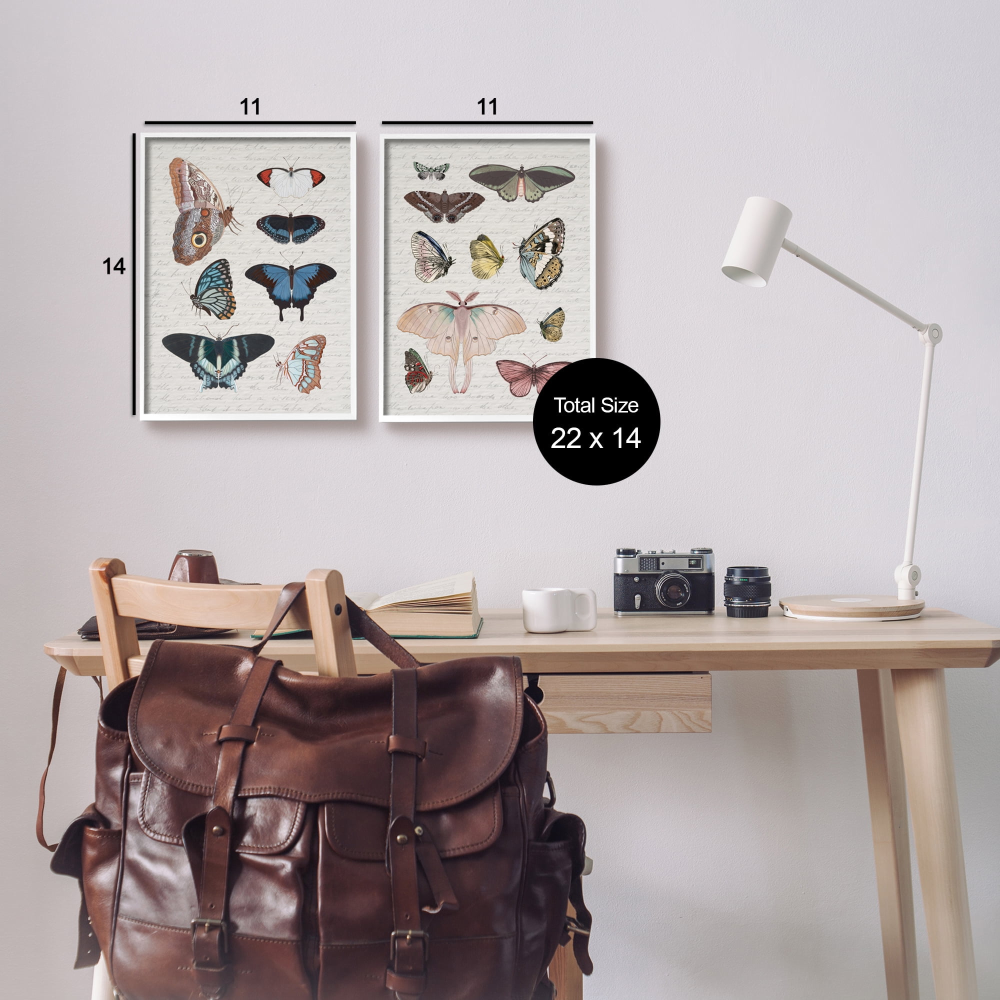 Stupell Industries Vintage Butterflies & Moths Animals & Insects Painting White Framed Art Print Wall Art, 11 x 14
