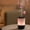 Black, variant on Essential Oil Diffuser for Bedroom, Quiet Humidifiers for Home, Aromatherapy Diffuser with LED Colors & Safety Auto-Off Timer, Quiet for Bedroom, Room, Hotel & Plants