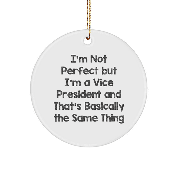 Funny Vice President Gifts from Friends for Men or Women - I'm Not Perfect Circle Ornament, White, 2.75" Tall, Christmas Unique Presents